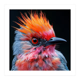 Close Up Of Exotic Bird With Vibrant Plumage (Print Only) thumbnail