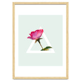 Rose thumbnail