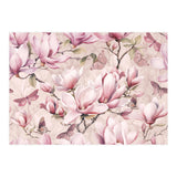 Magnolia And Butterfly (Print Only) thumbnail