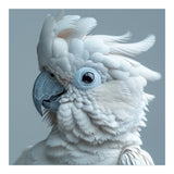 White Cockatoo Bird Portrait Close Up (Print Only) thumbnail