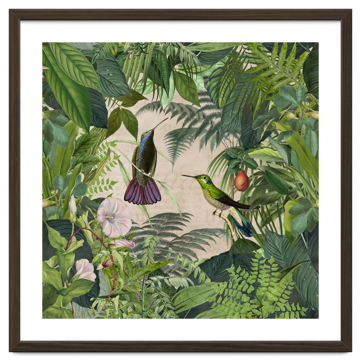 Tropical Hummingbird Jungle