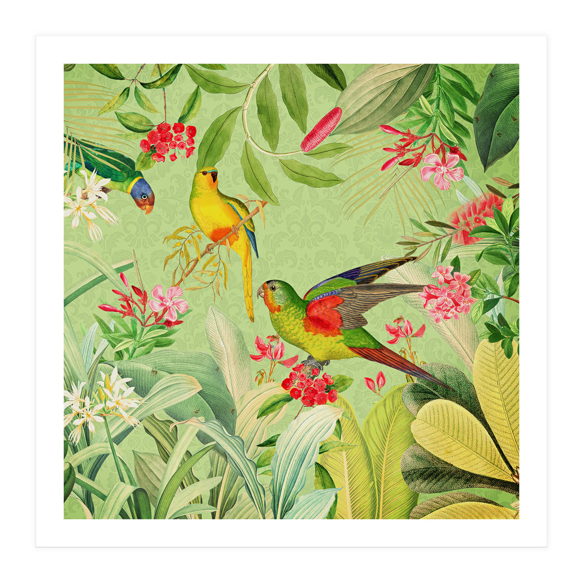 Summer Day Vintage Tropical Jungle (Print Only)