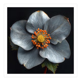 Hellebore | Silver Magic (Print Only) thumbnail
