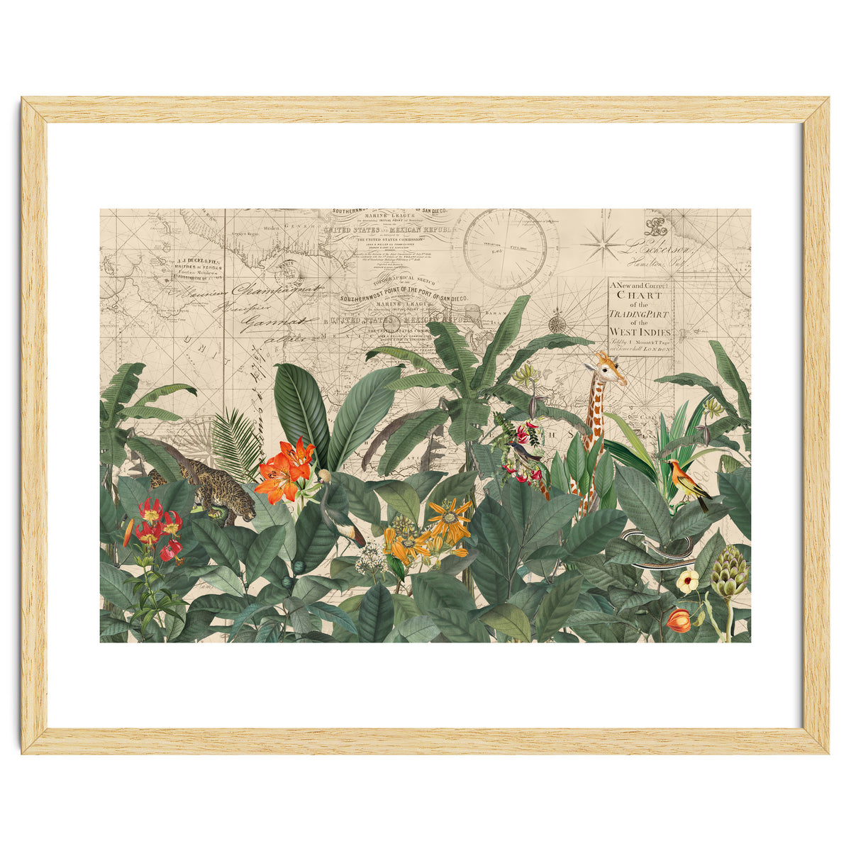 Explore The New World Wild Animals