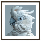 White Cockatoo Bird Portrait Close Up thumbnail