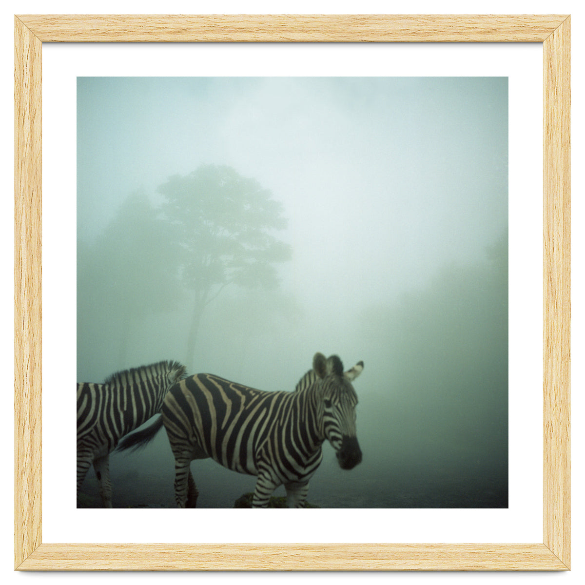 Silence of breath - 16