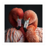 Close Up Of Two Flamingos Nuzzling Together (Print Only) thumbnail