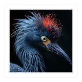 Blue Heron Bird Head With Orange Crown  (Print Only) thumbnail