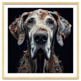 Old Dog 04 thumbnail