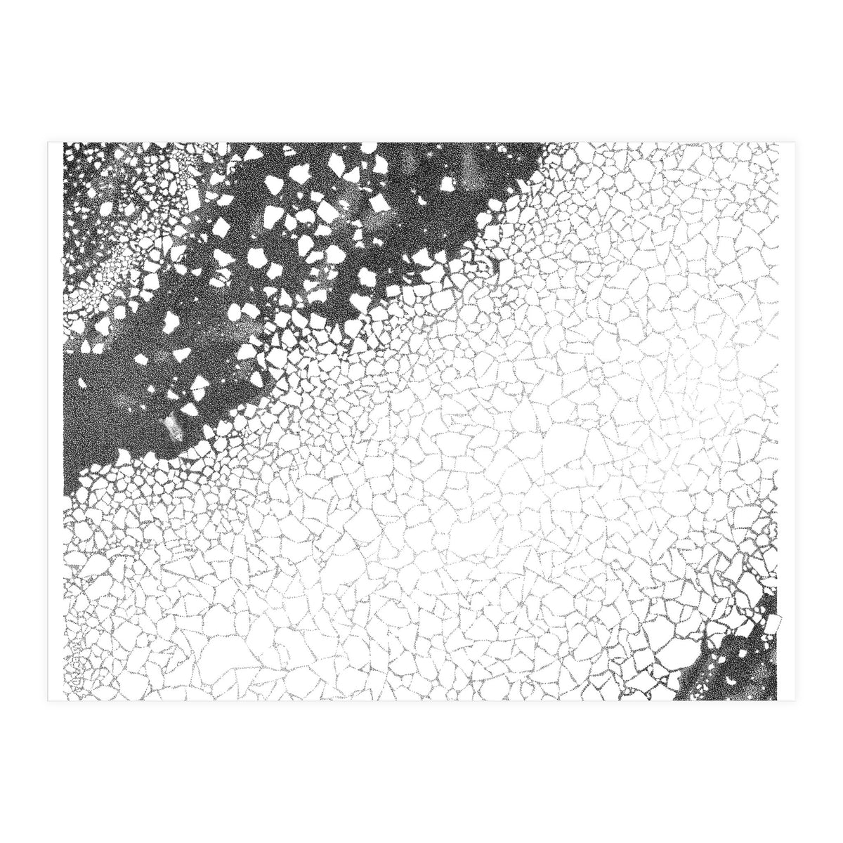 80 Degrees North (Print Only)