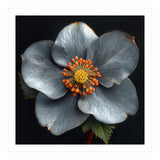 Hellebore | Silver Magic (Print Only) thumbnail