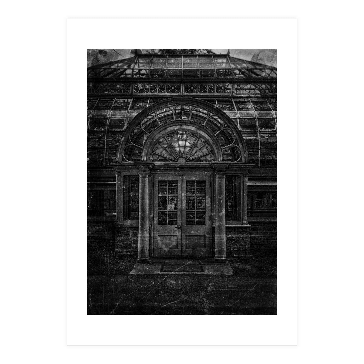 Allan Gardens Conservatory Palm House No 5 Old Film Version (Print Only)