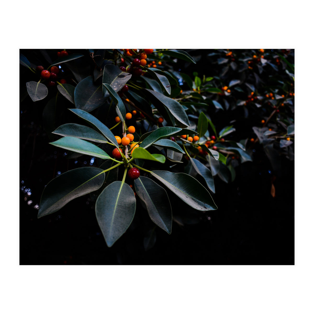 Orange, Green and Dark (Print Only)