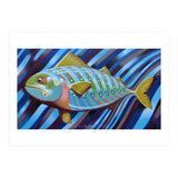 Blue fish (Print Only) thumbnail