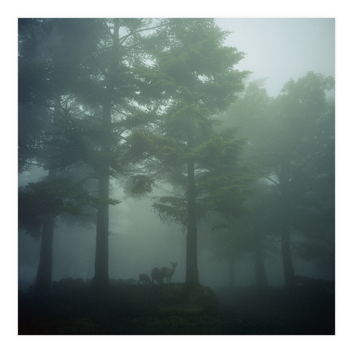 Silence of breath - 10 (Print Only)