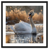 Majestic Swan On Calm Water During Sunset Nature Scene thumbnail