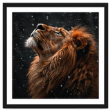 Lion Looking Up In The Snow Majestic thumbnail