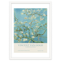 Vincent Van Gogh - Almond Blossom