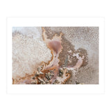 Discovery (Print Only) thumbnail