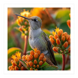 Hummingbird Perched On Orange Flowers (Print Only) thumbnail