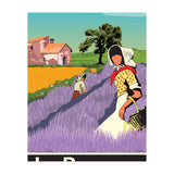 Provence, France (Print Only) thumbnail