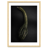 Gourds No 9 Color Version thumbnail