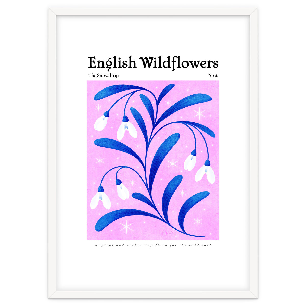 English Wildflowers | Snowdrops