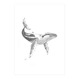 Whale (Print Only) thumbnail