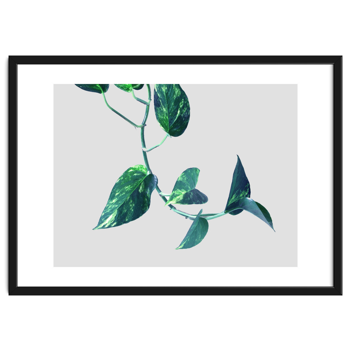 Projection & Emotion