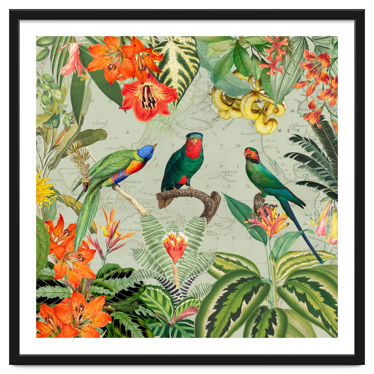 Exotic Parrots Jungle Landscape