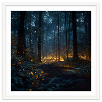 Enchanted Midnight Forest with Glowing Fireflies