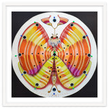 Clock butterfly thumbnail