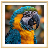 Blue And Yellow Macaw Parrot Close Up Portrait