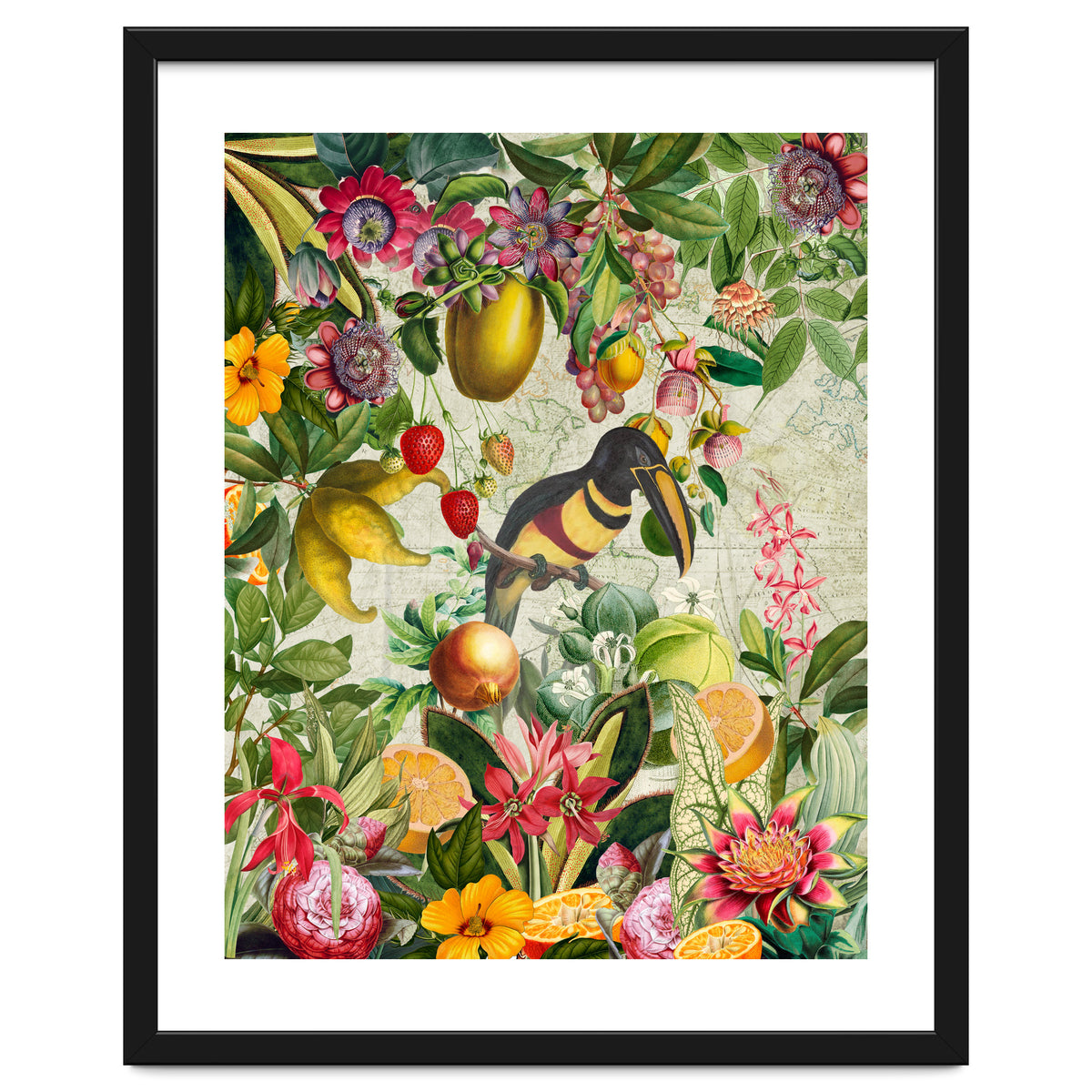 Toucan vintage jungle