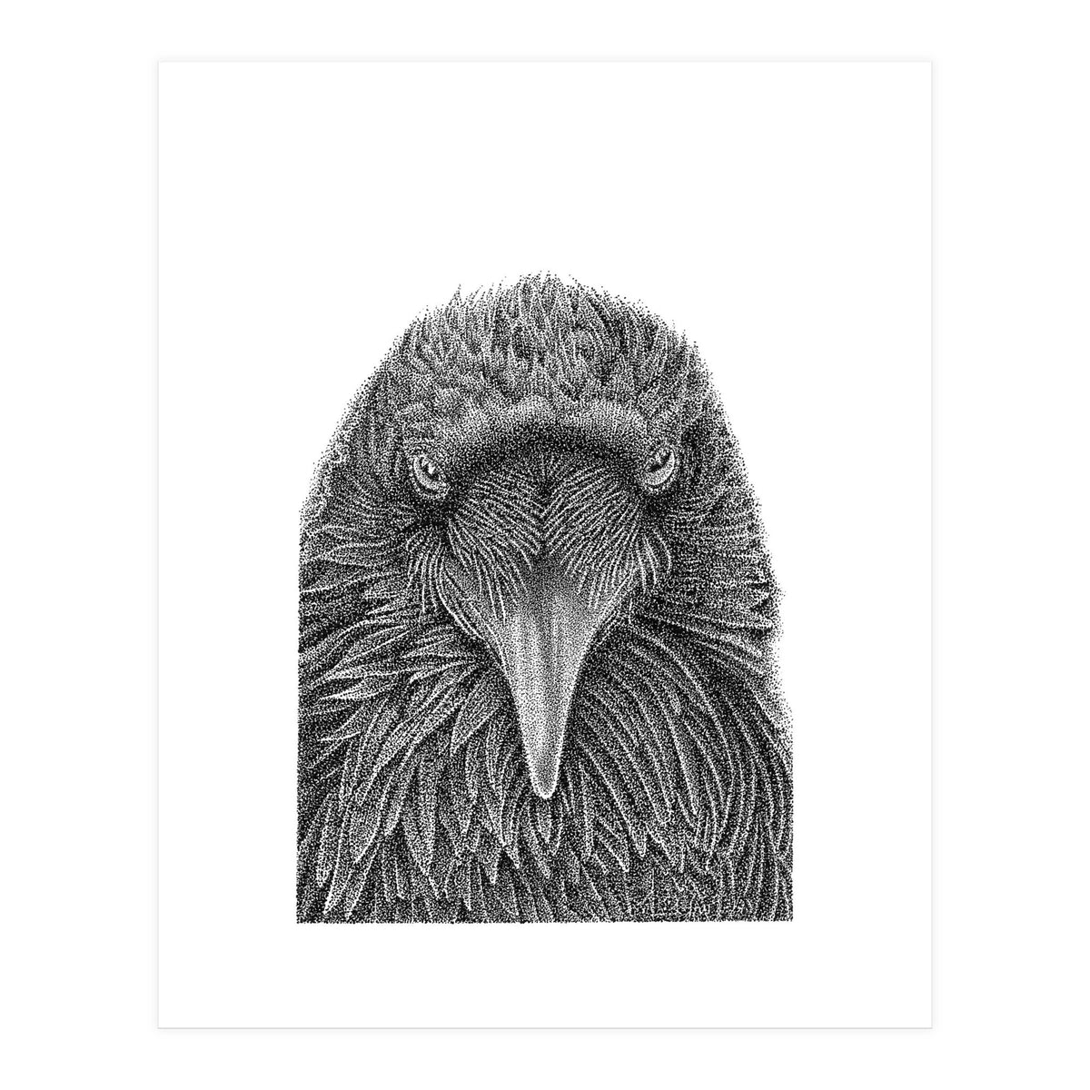 Muninn (Print Only)