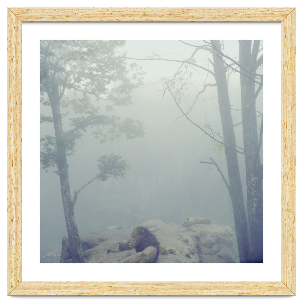 Silence of breath - 02