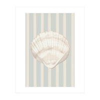 Sea shell (Print Only)