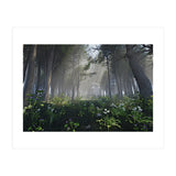 Art In The Forest (Print Only) thumbnail
