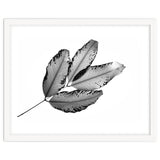 Branches and Leaves, 2016, 1 thumbnail