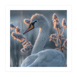 Swan Portrait Dew Drops Morning Light (Print Only) thumbnail