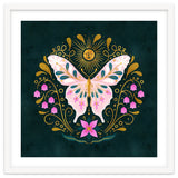 Butterfly And Sun thumbnail