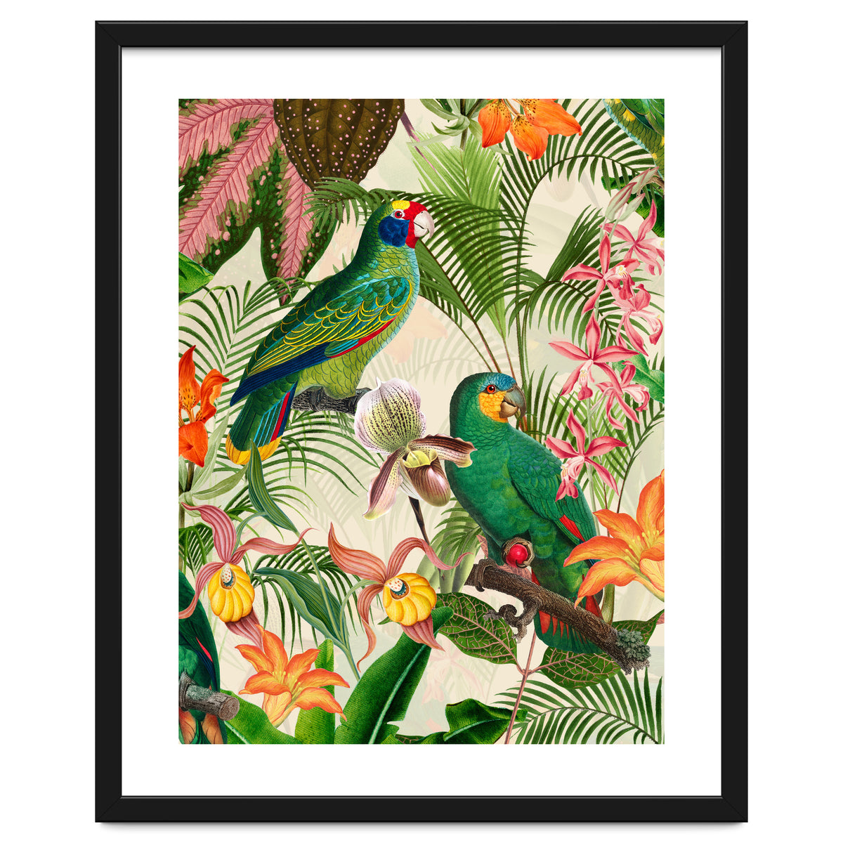 Parrots in tropical Jungle