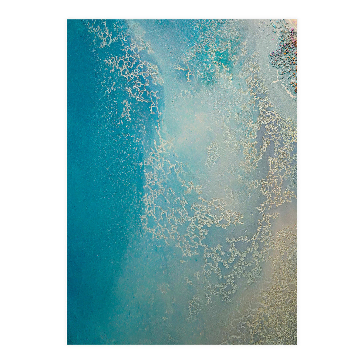 Shallow Waters (Print Only)