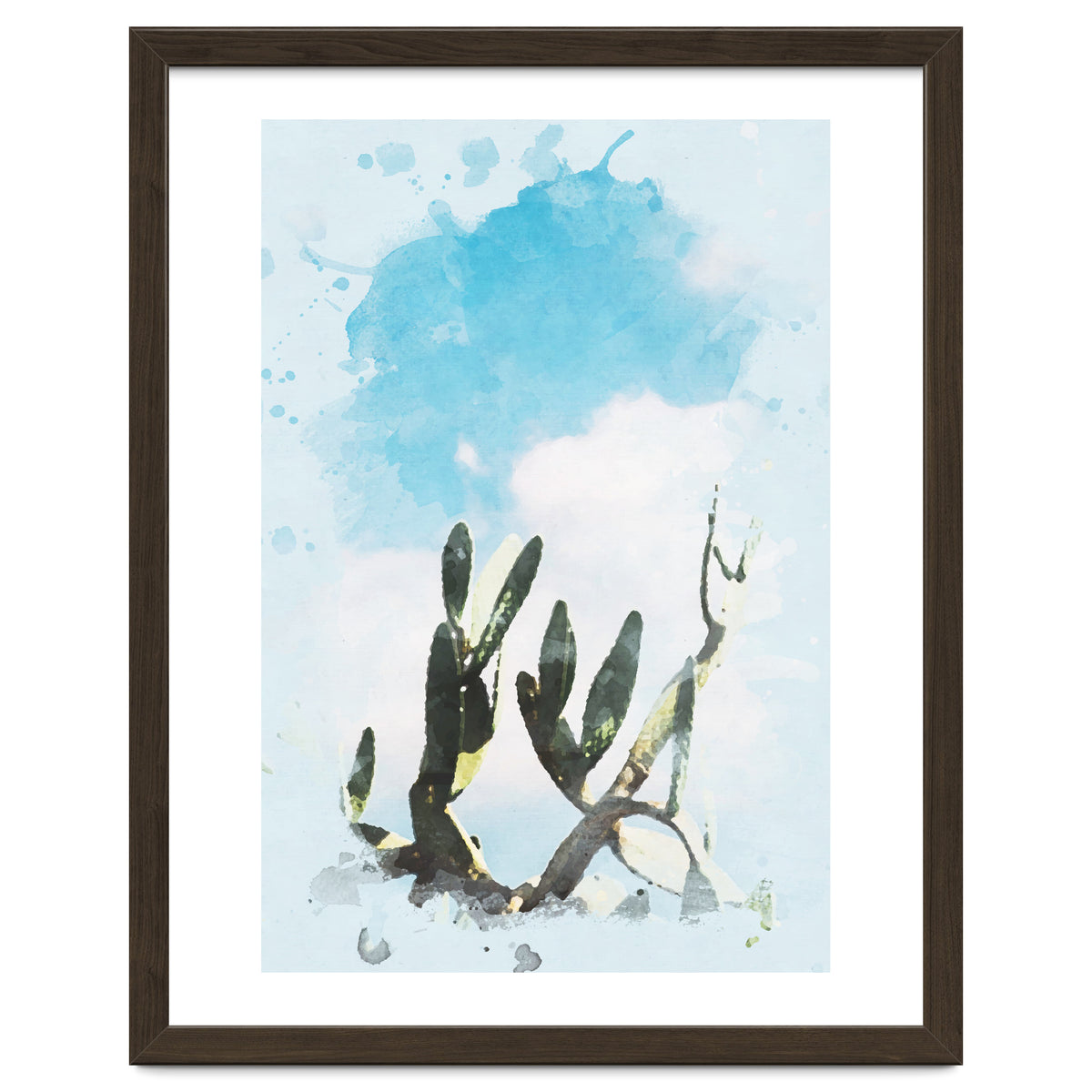 Cactus & Sky