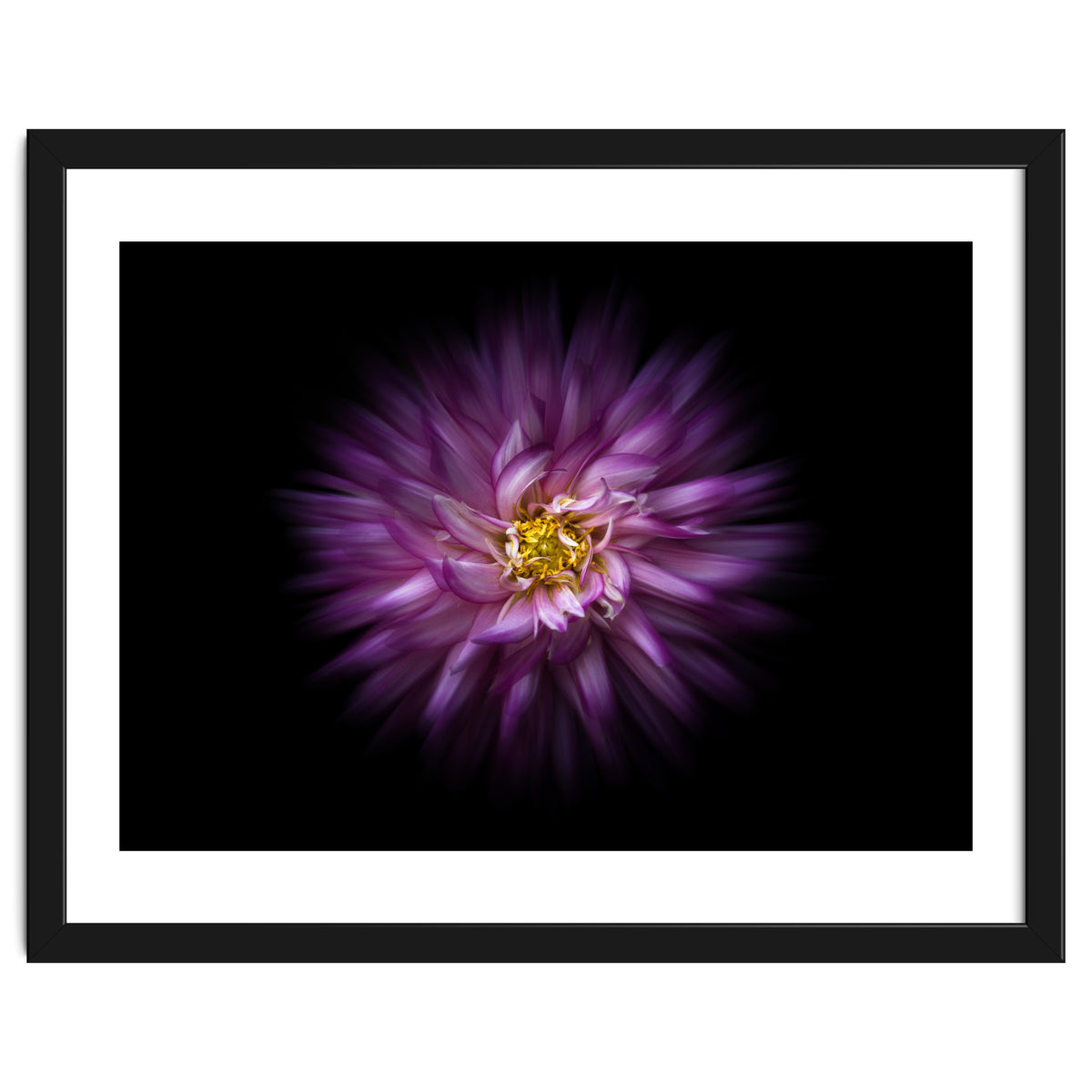 Backyard Flowers No 20 Color Flow Version