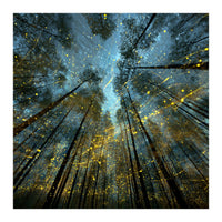 Enchanted Night Forest with Glowing Fireflies (Print Only)