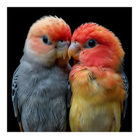 Two Lovebirds Nuzzle Together (Print Only)