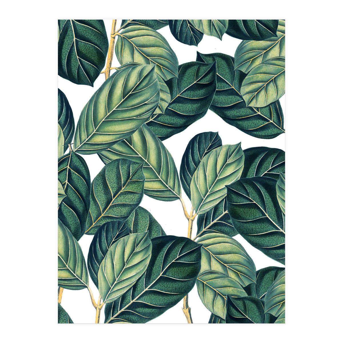 Botany #society6 #decor #buyart (Print Only)