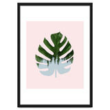 Monstera thumbnail