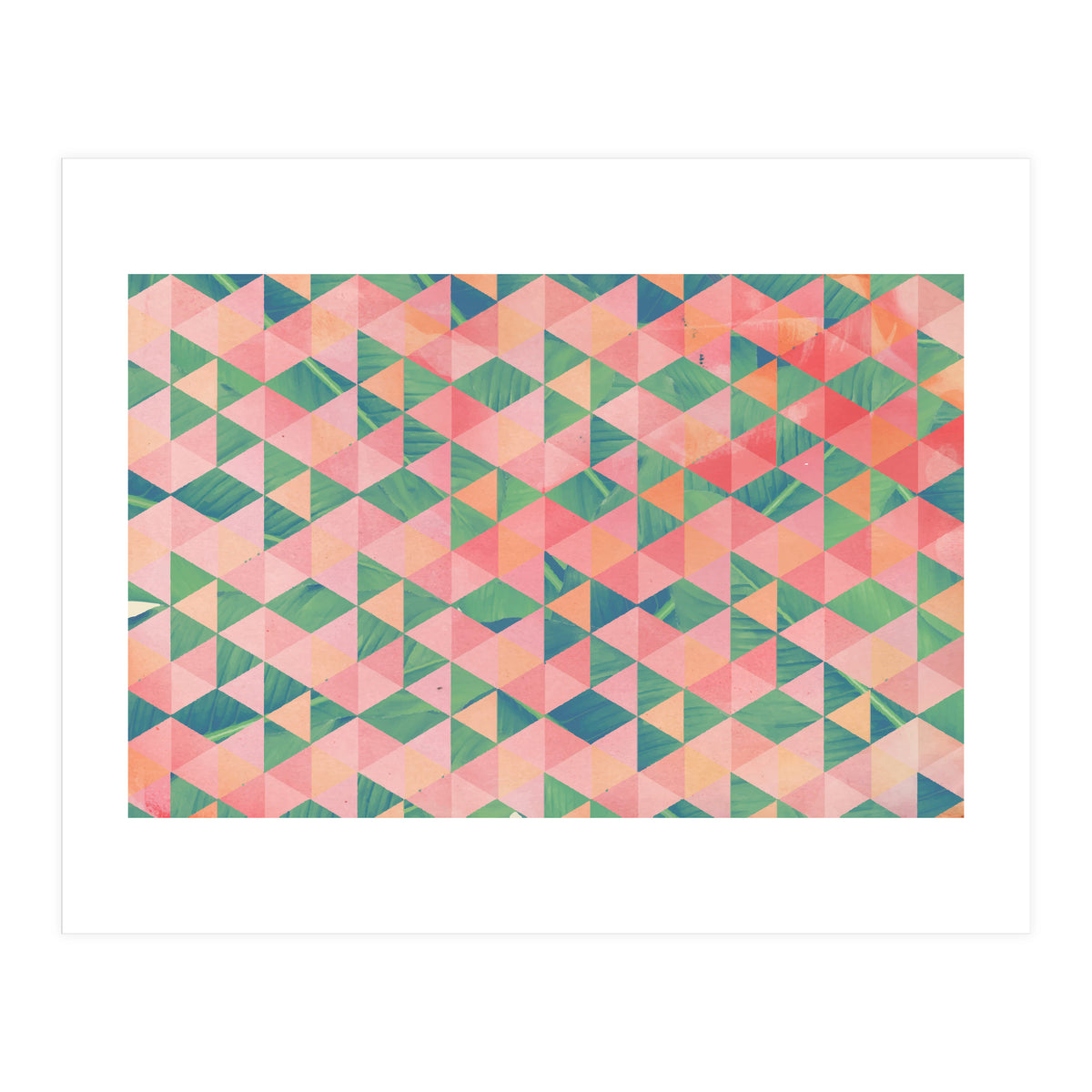 Insomniac (Print Only)